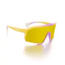 STY 14 C6 MULTICOLOR (4).webp