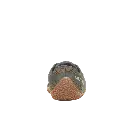 Merr Vap Olive IV.webp